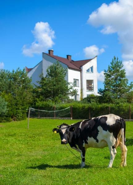 Gospodarstwo Agroturystyczne Jacwing Villa Giby Exteriör bild